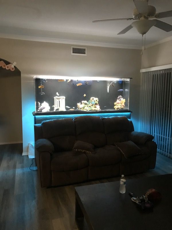 220 Gallon Acrylic Aquarium For Sale In Menifee CA OfferUp