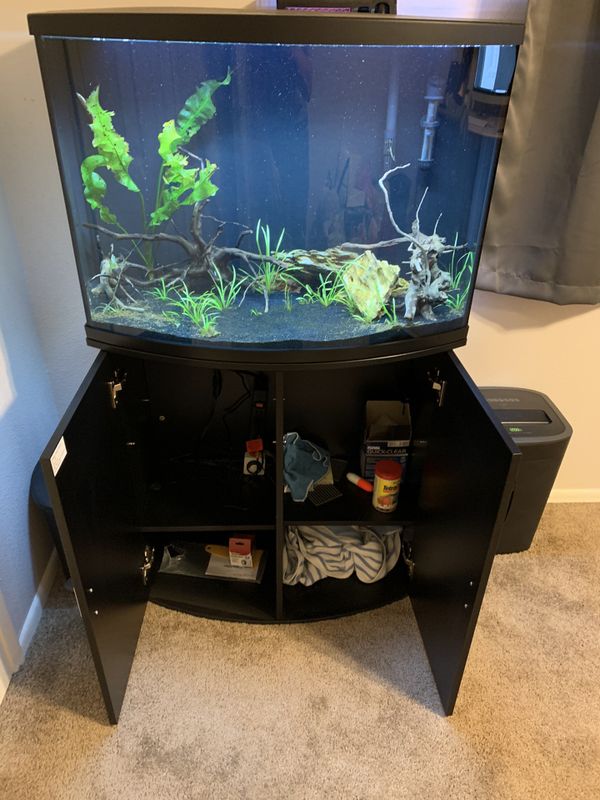 36 Gallon Bow Front Fish Tank Setup For Sale In Glendale AZ OfferUp