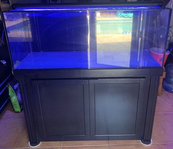 60 gallon RIMLESS aquarium for Sale in Miami, FL - 6D93D0De14e24f5fb9ee98846ce0025e