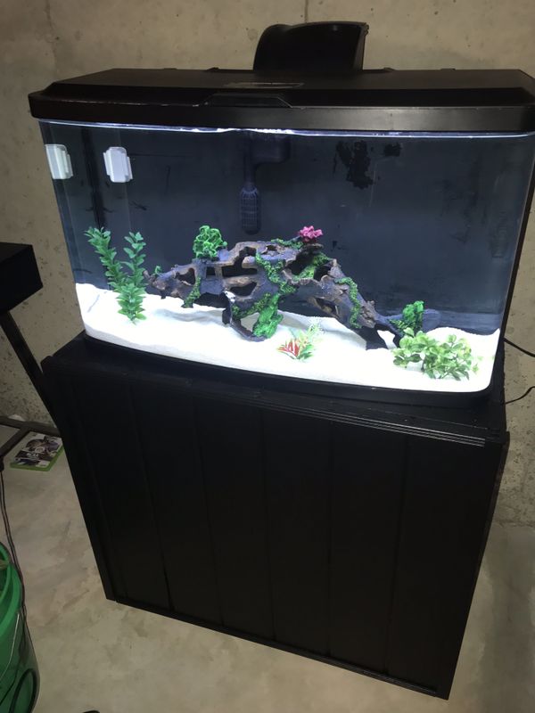 23 gallon curve front fluval vista Fish tank/aquarium and stand for ...