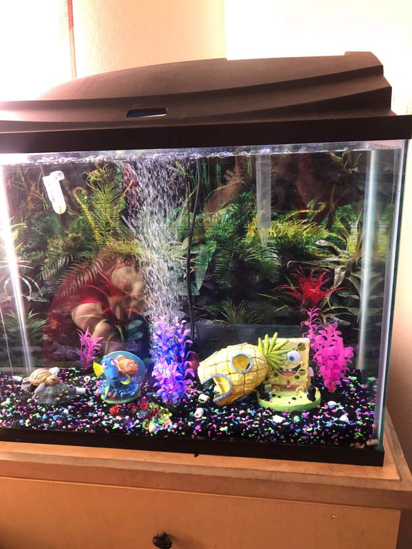 45 GALLON FISH TANK EVERYTHING INCLUDED for Sale in San Jose, CA - OfferUp