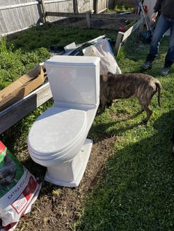 shed for sale in connecticut - offerup