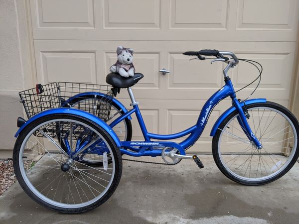 schwinn adult trike