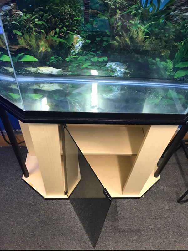 35 gallon Flatback half Hexagon Aquarium fish tank complete 200 for