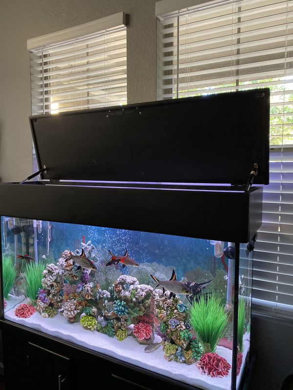 Beautiful 65 Gallon Freshwater Aquarium for Sale in