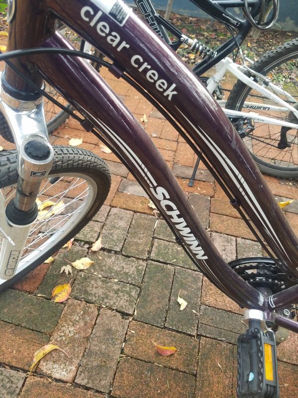 schwinn purple mountain bike