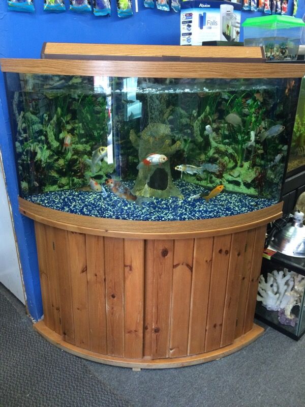 92 gallon corner Bow front Aquarium fish tank for Sale in Philadelphia