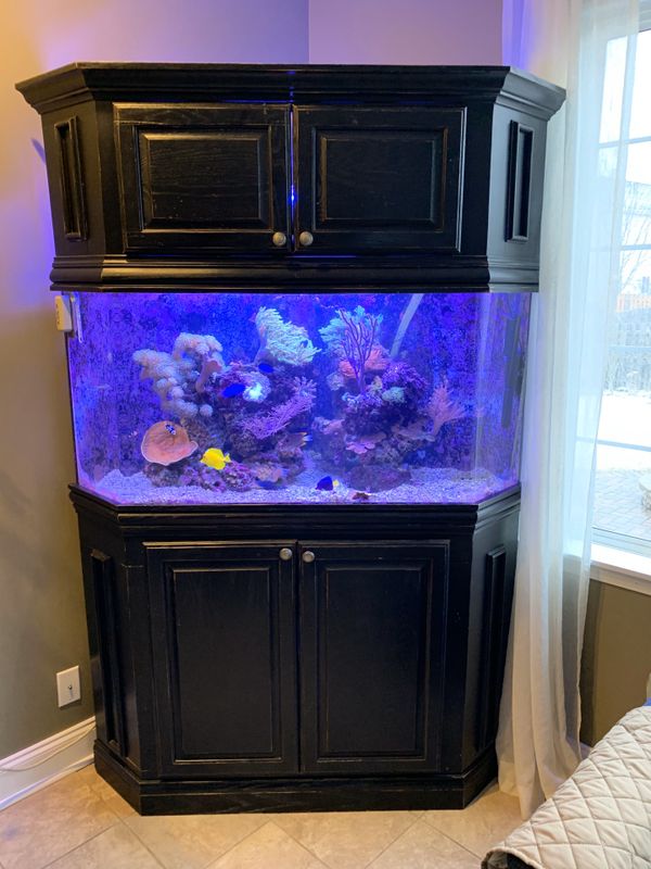 100 gallon corner aquarium with custom stand and canopy for Sale in ...