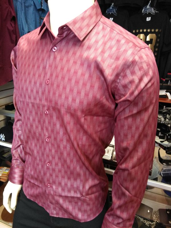 pavini shirts prices