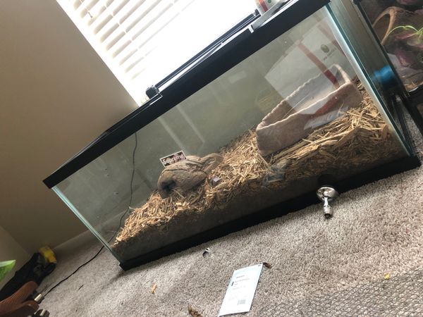 75 gallon tank used for reptiles for Sale in Tampa, FL - OfferUp