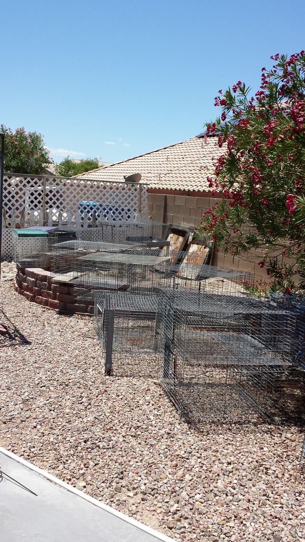 LARGE BASS RABBIT CAGES! for Sale in Las Vegas, NV OfferUp