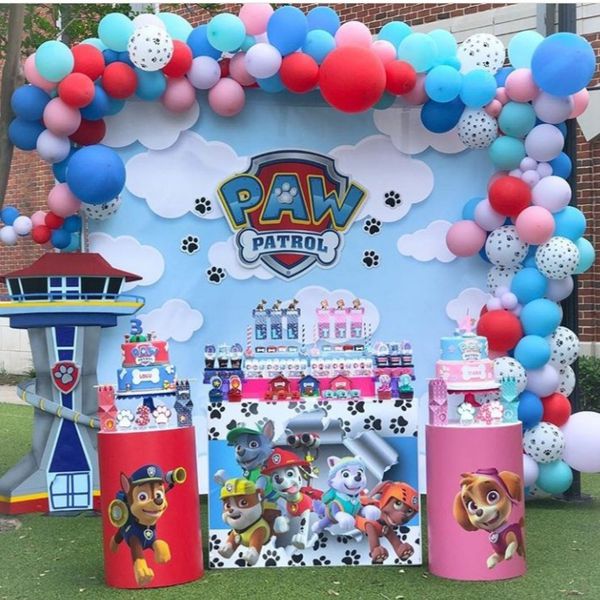 Pink Paw Patrol Skye Everest first Birthday Party Decorations Balloon ...