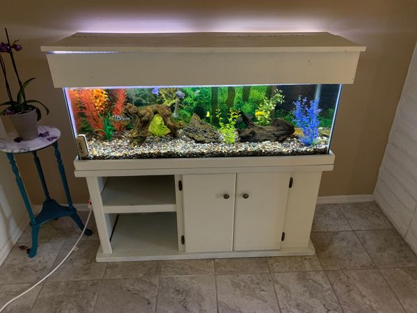 60 Gallon Fish Tank and Stand for Sale in Tustin, CA - OfferUp