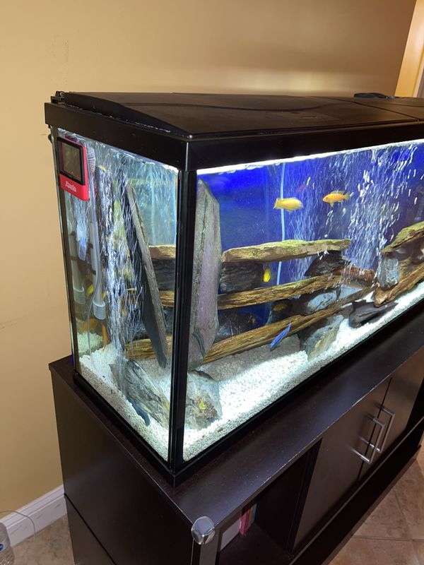 Top Fin 55 Gallon Aquarium - How To Blog