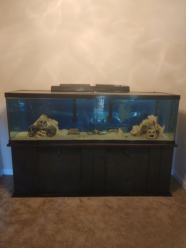 125 gallon fish tank