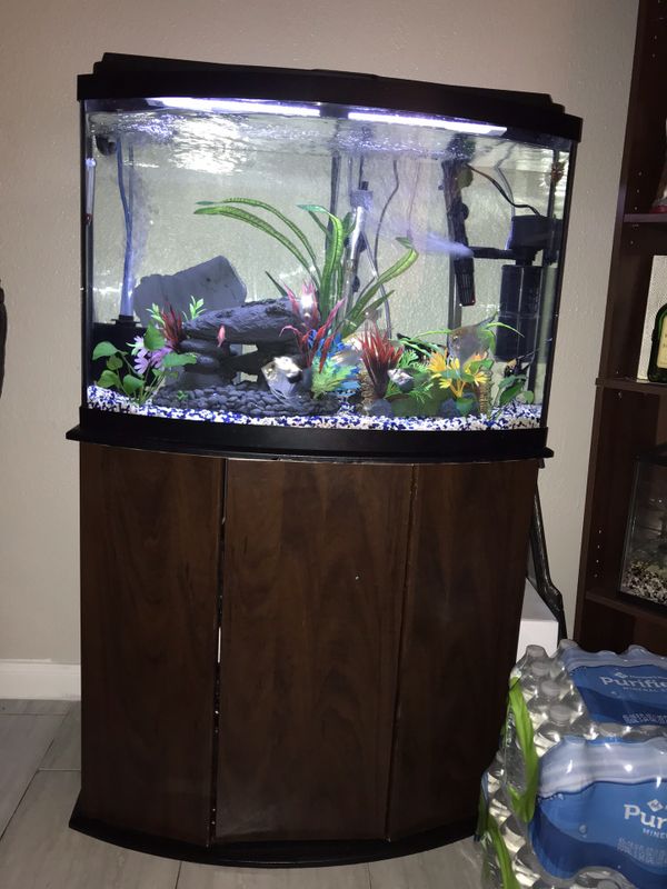 36 Gallon Bowfront Fish Tank for Sale in Houston, TX OfferUp