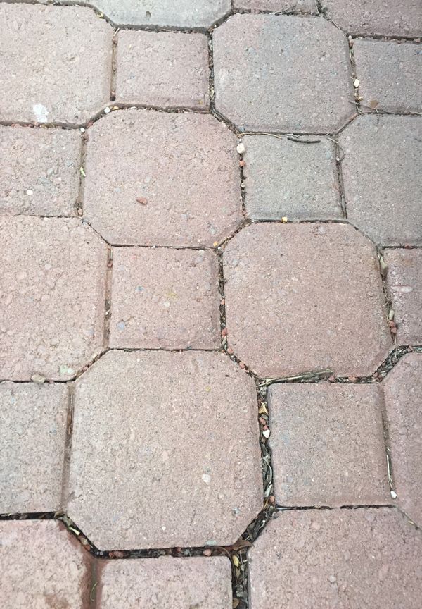 594 concrete keyhole pavers with 66edge pieces for Sale in Peoria, AZ OfferUp