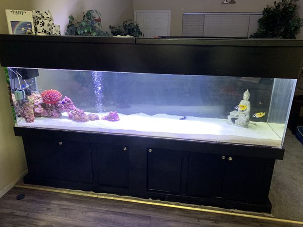 250 gallon acrylic salt water aquarium for Sale in Las Vegas, NV - Da1930bc669a40268179e6006De13e36