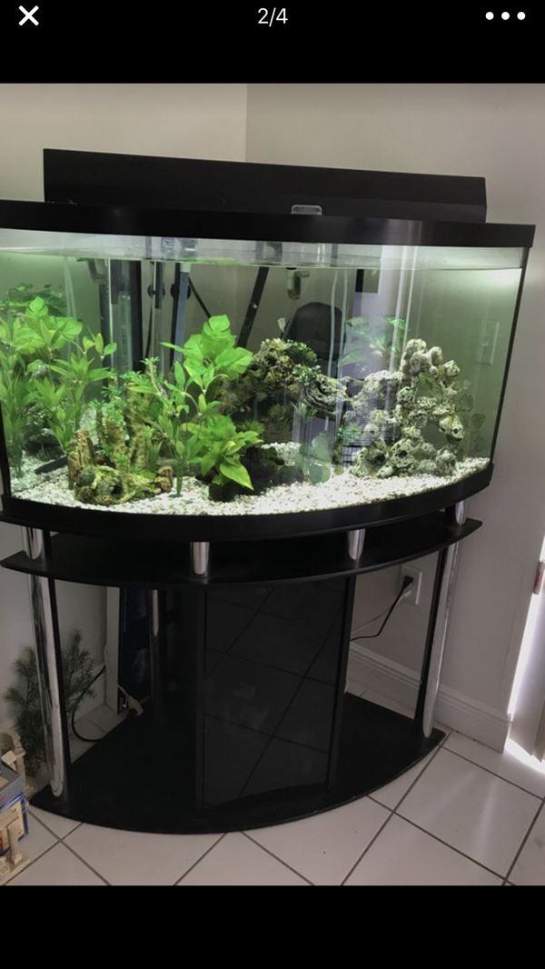 70 gallon Fish tank for Sale in North Miami Beach, FL - OfferUp