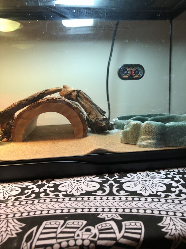 Zoo med 20 gallon reptile tank for Sale in Bethesda, MD - OfferUp