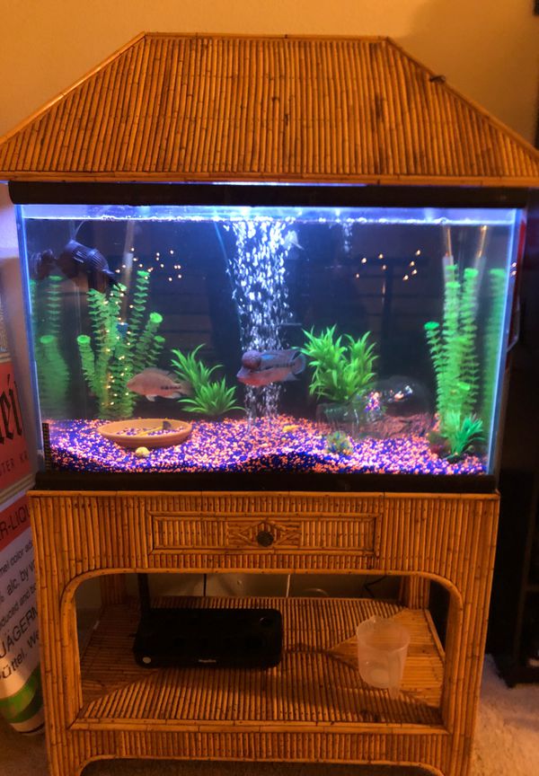 Tiki Fish tank 65 gallon custom fish tank for Sale in
