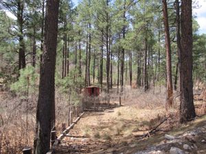 New And Used Shed For Sale In El Paso Tx Offerup