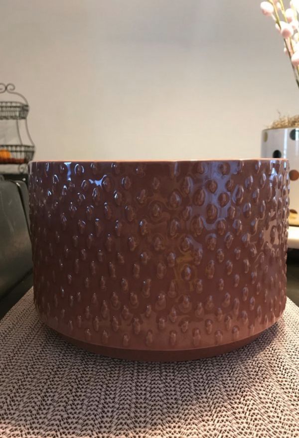 Target Flower Pot for Sale in San Bernardino, CA OfferUp