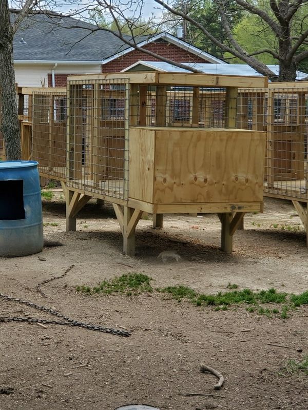 Off the Ground Dog Kennels for Sale in High Point, NC - OfferUp