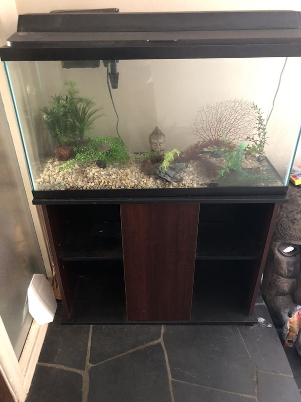Fish Tank plus cherrywood colored stand, filter, light, rocks and