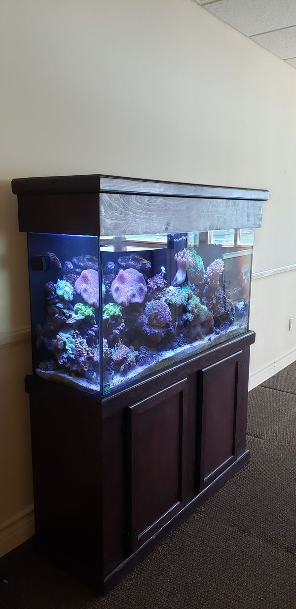 Coral reef 75 gallon saltwater aquarium for Sale in Costa Mesa, CA
