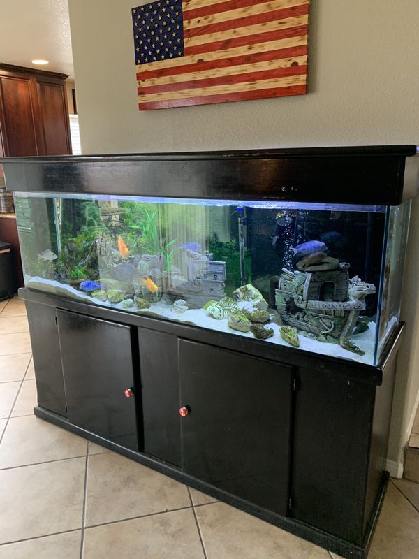 130 gallons fish tank for Sale in Hesperia, CA - OfferUp