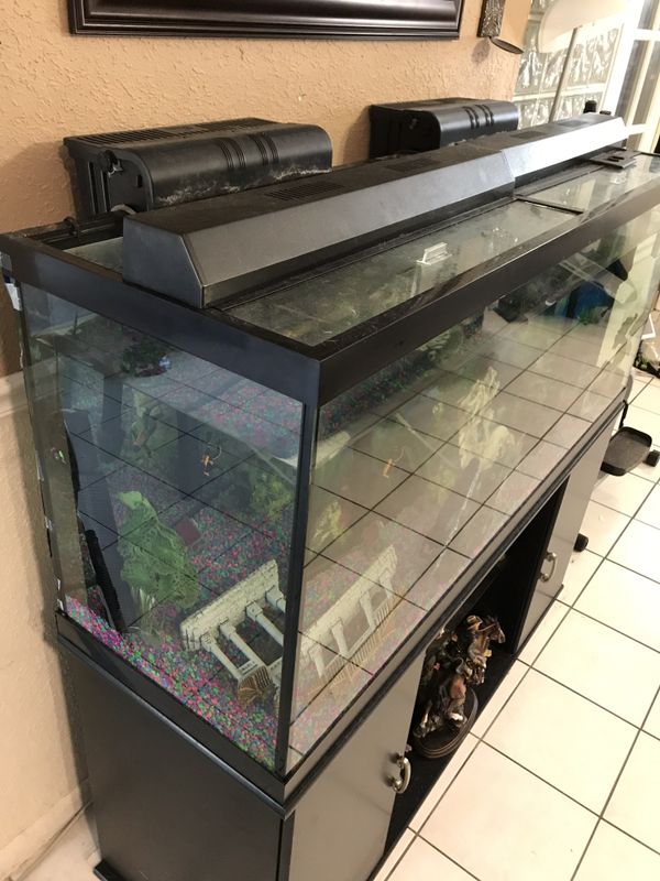 120 Gallon Aquarium for Sale in Miami, FL OfferUp