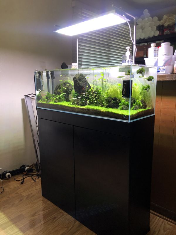 Rimless aquarium UNS 90L for Sale in Hacienda Heights, CA - 8c061e188af148f2b6979D3423903D35