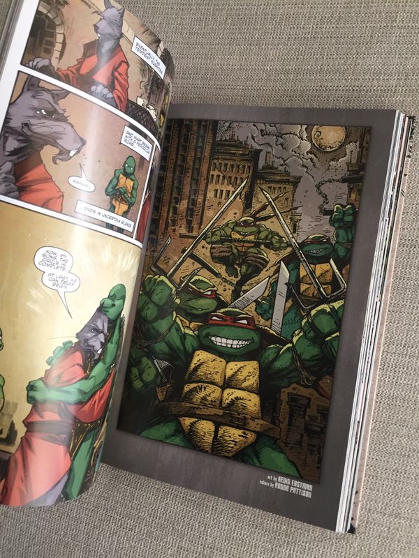 tmnt idw collection