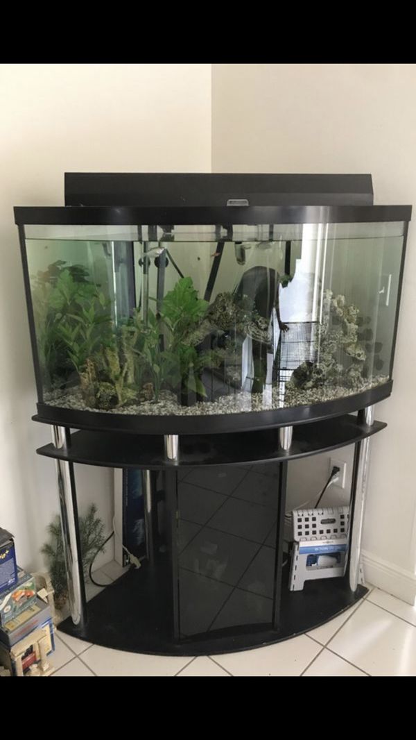 70 gallon Fish tank for Sale in North Miami Beach, FL - OfferUp