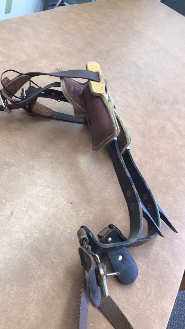 TREE CLIMBING SPURS for Sale in Olympia, WA OfferUp