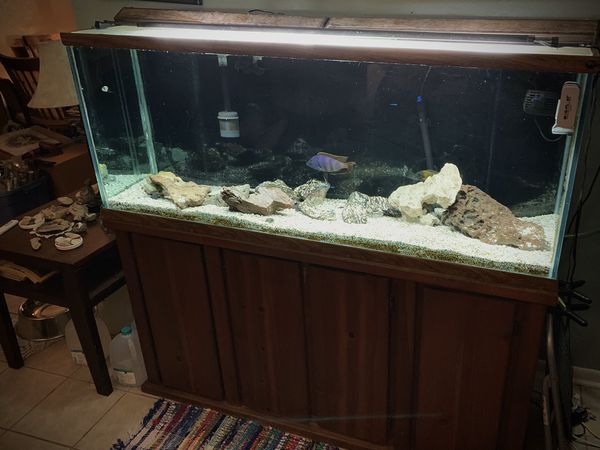 110 Gallon Oceanic Aquarium for Sale in Gainesville, FL - 883e9bb5e9934763b55aa76843762eef