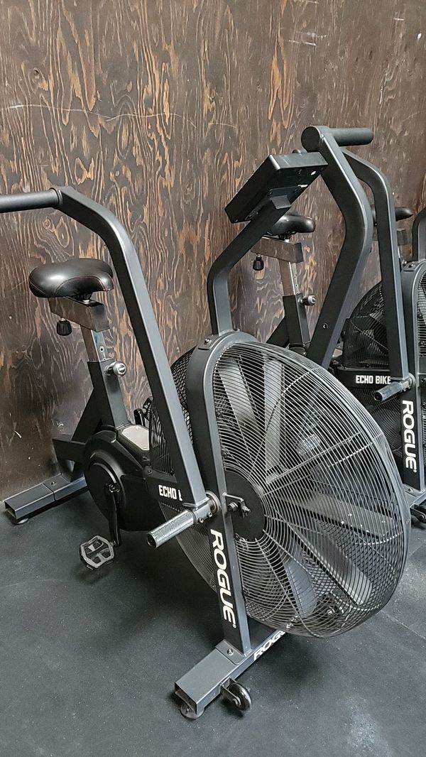 rogue echo bike sale