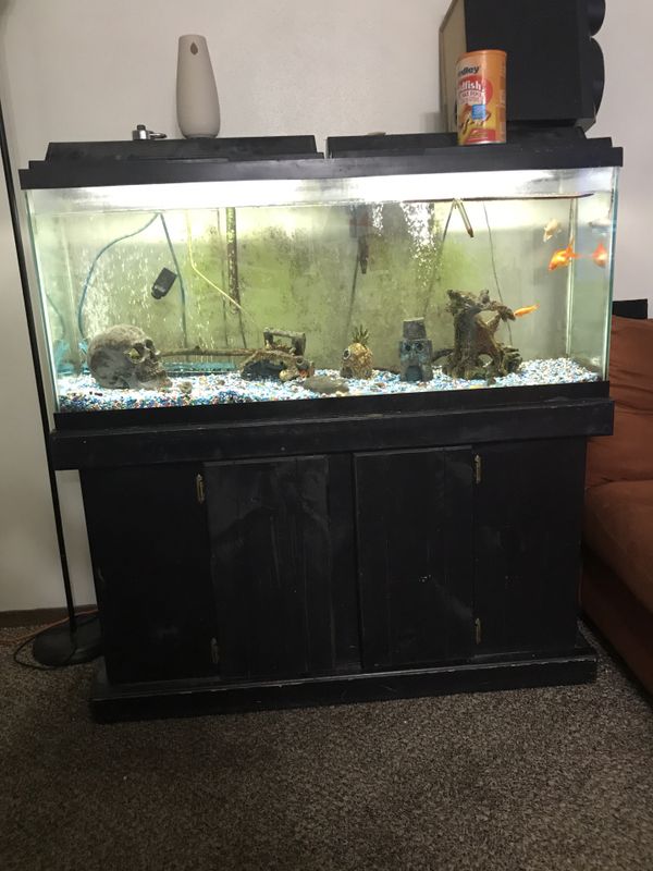 50 Gallon Fish Tank For Sale In Milwaukee, Wi - Offerup