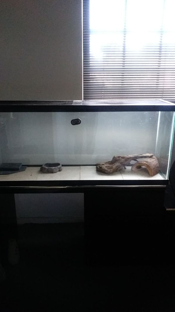 40 Gallon Reptile Tank for Sale in North Miami, FL - OfferUp