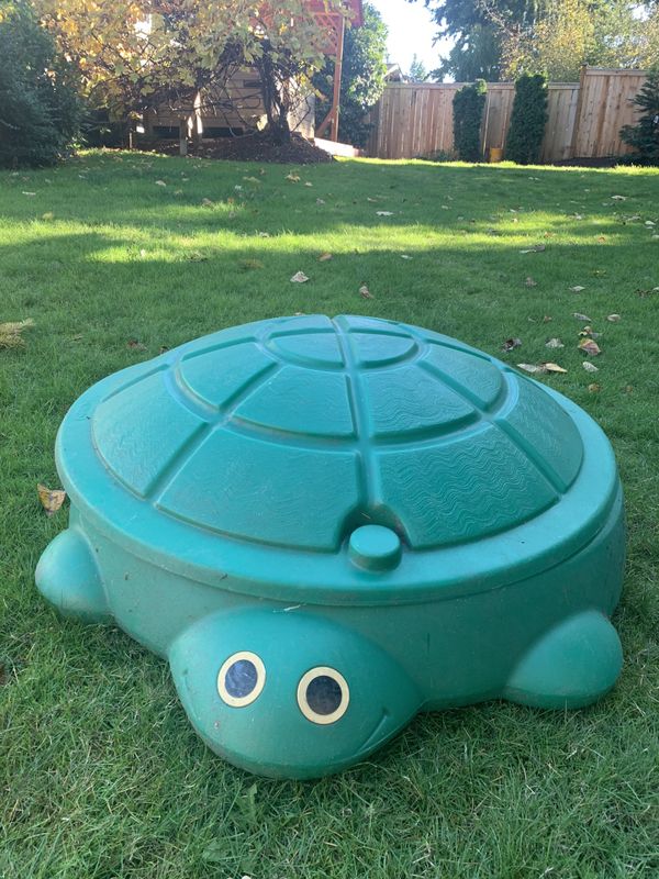 turtle sand boxes