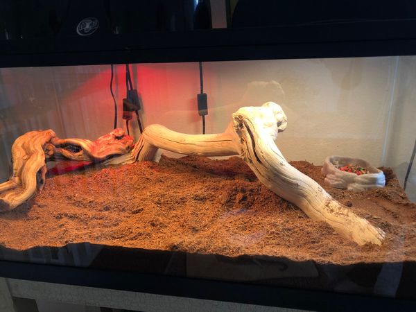 Bearded dragon cages for sale 