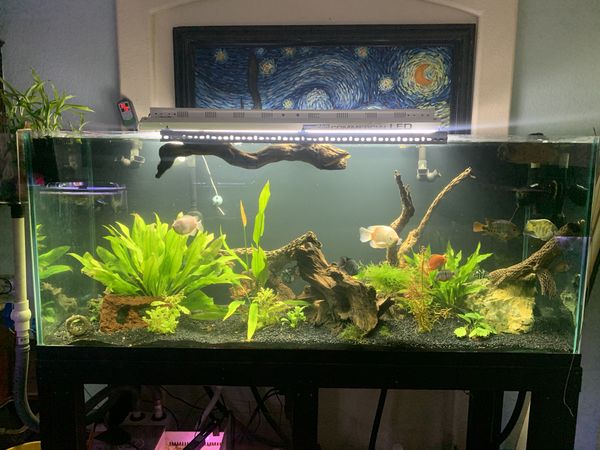 220 gallon fish tank aquarium for Sale in Henderson, NV - OfferUp