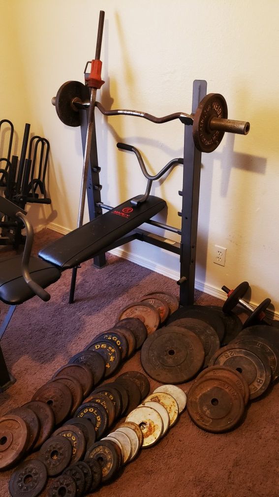 Incline/Decline etc. Bench - bars - 500 pounds in real iron . for Sale