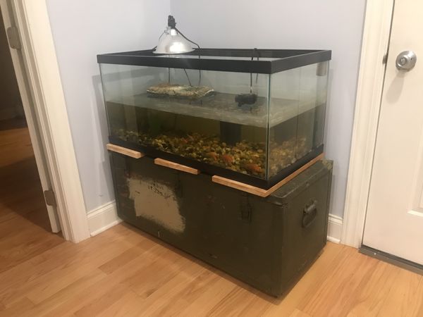 40 gallon Fish turtle reptile tank w/ fluval filter, auto feeder, light ...