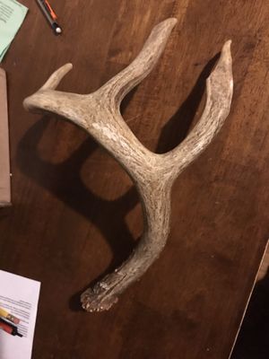 New and Used Shed for Sale in Jacksonville, FL - OfferUp