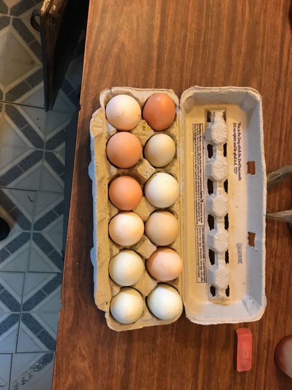 Fresh farm eggs for Sale in Kaufman, TX OfferUp