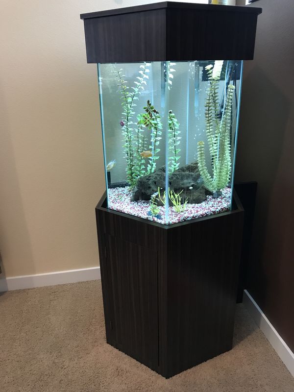 35 Gallon Hexagon fish tank (Glass) for Sale in Auburn, WA - OfferUp