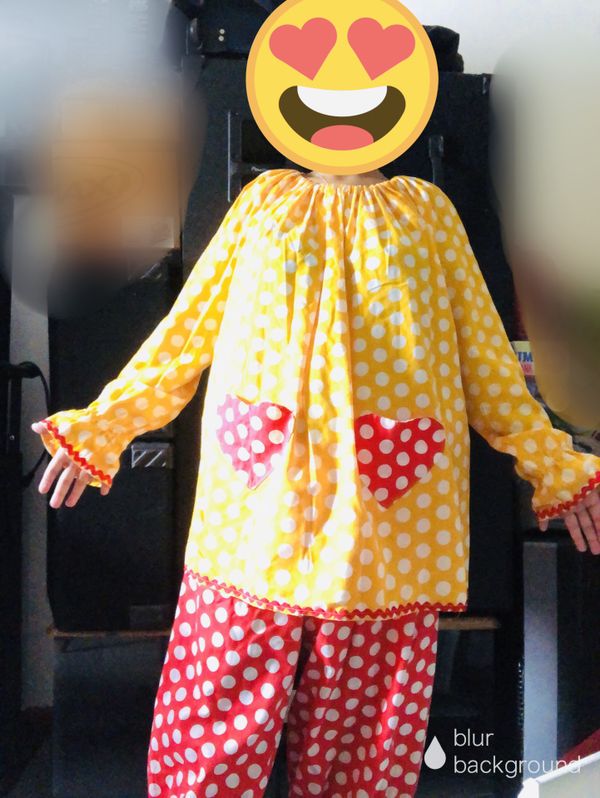 Professional Clown Costume for Sale in Scranton, PA OfferUp