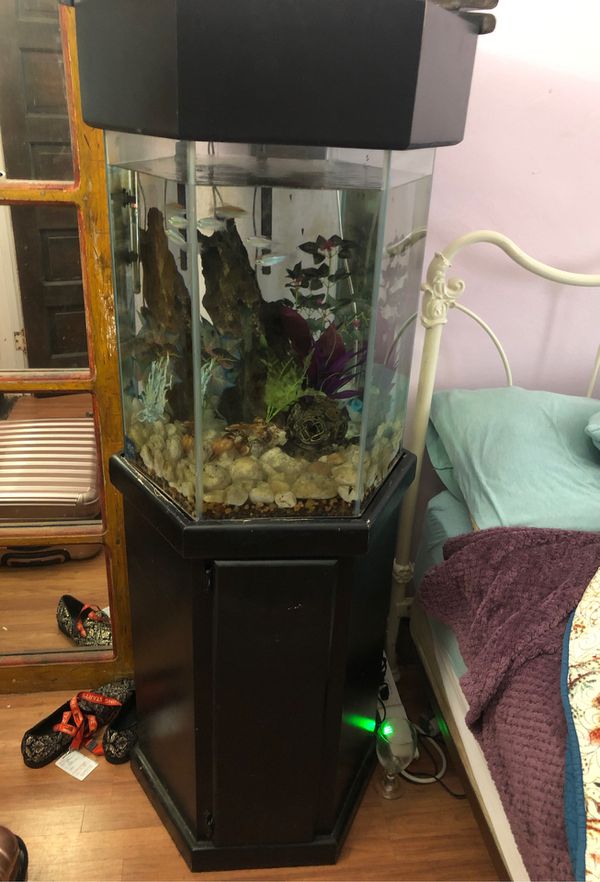 30 gallon hexagon fish tank for Sale in Redlands, CA OfferUp